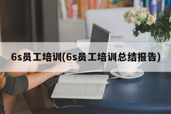 6s员工培训(6s员工培训总结报告)